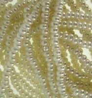 Czech Seed Beads Size 8/0 6-Strand Lt Ivory Ceylon