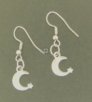 Kit - Stainless Steel Ear Wire With Moon Charm