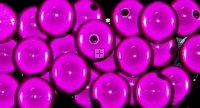 Miracle Bead Round 16mm Fuschia 24 pcs
